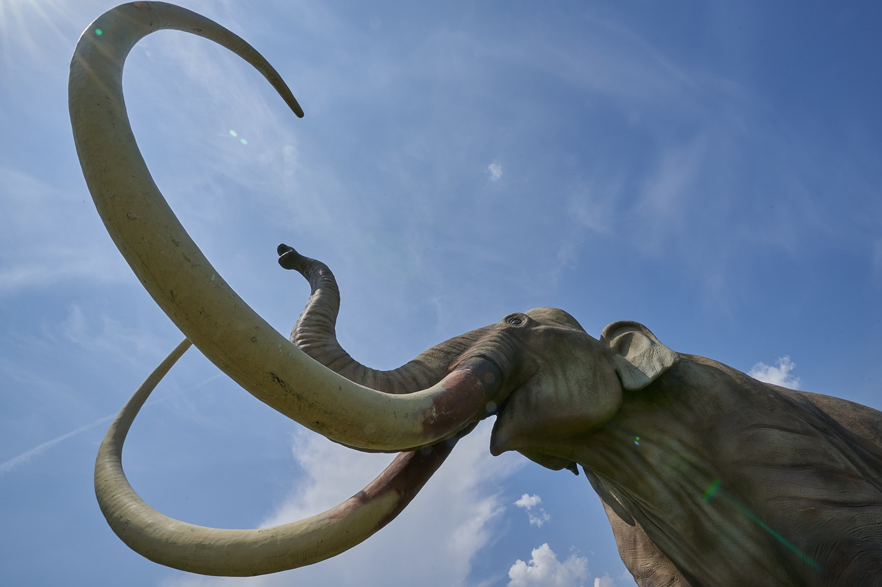 Scientists Are Getting Closer to Reviving the Woolly Mammoth
